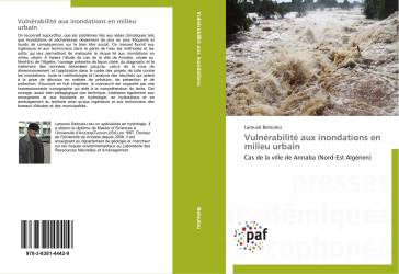 Vulnérabilité aux inondations en milieu urbain