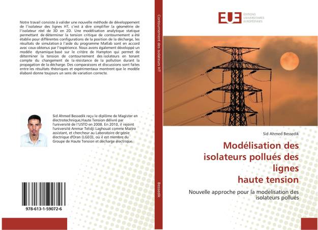 Modélisation des isolateurs pollués des lignes haute tension