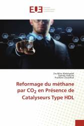 Reformage du méthane par CO2 en Présence de Catalyseurs Type HDL