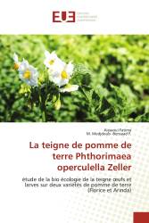 La teigne de pomme de terre Phthorimaea operculella Zeller