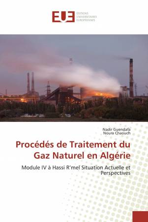 Procédés de Traitement du Gaz Naturel en Algérie