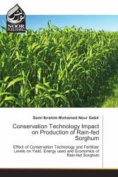 Conservation Technology Impact on Production of Rain-fed Sorghum