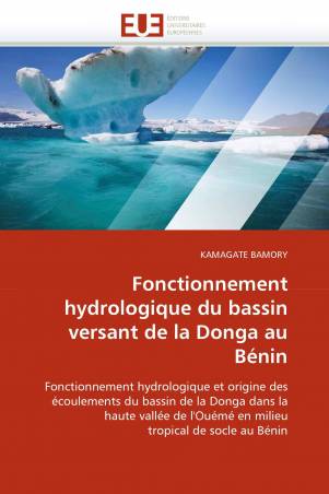 Fonctionnement hydrologique du bassin versant de la Donga au Bénin