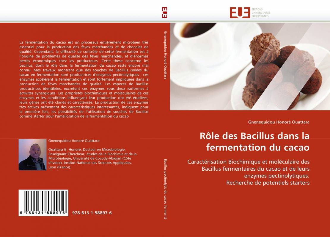 Rôle des Bacillus dans la fermentation du cacao