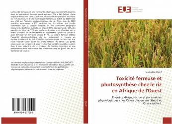 Toxicité ferreuse et photosynthèse chez le riz en Afrique de l'Ouest