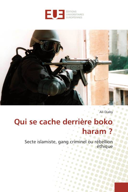 Qui se cache derrière boko haram ?