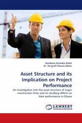 Asset Structure and its Implication on Project Performance