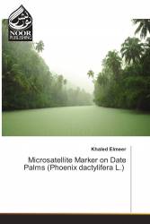 Microsatellite Marker on Date Palms (Phoenix dactylifera L.)‎