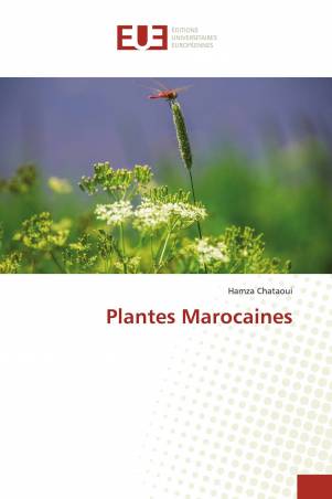 Plantes Marocaines