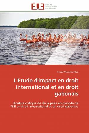 L'Etude d'impact en droit international et en droit gabonais
