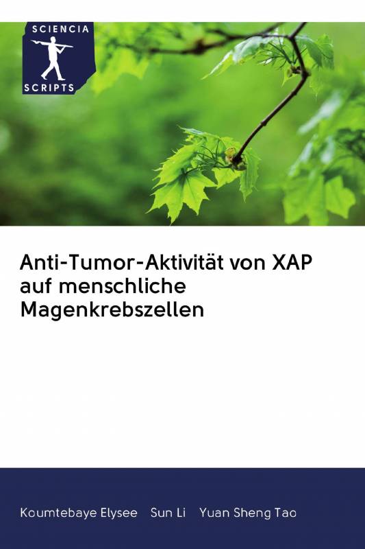 Anti-Tumor-Aktivität von XAP auf menschliche Magenkrebszellen