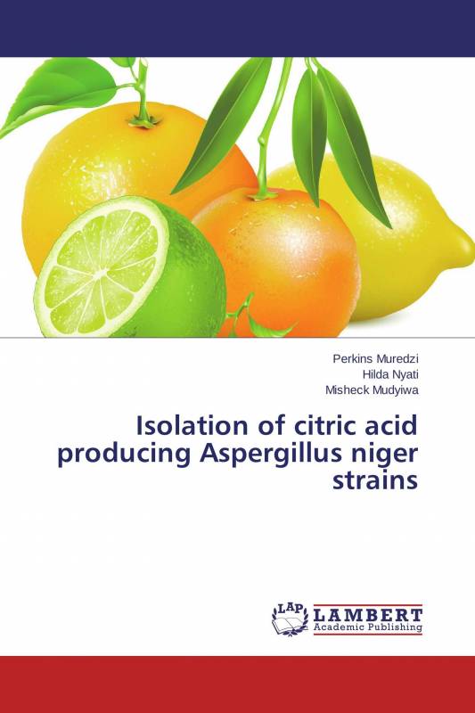 Isolation of citric acid producing Aspergillus niger strains