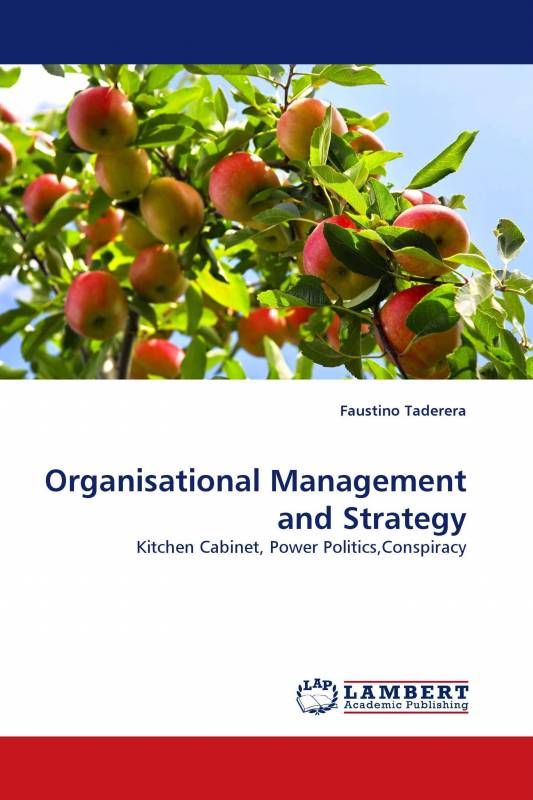 Organisational Management and Strategy