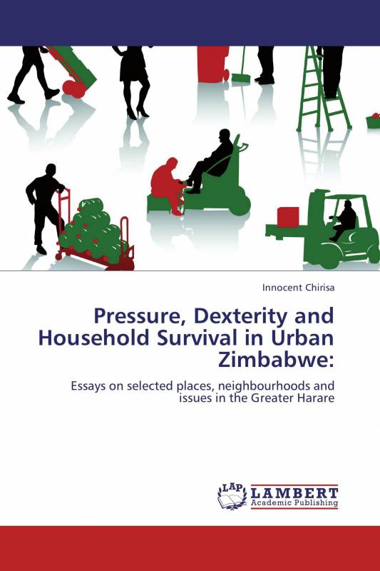 Pressure, Dexterity and Household Survival in Urban Zimbabwe: