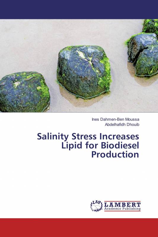 Salinity Stress Increases Lipid for Biodiesel Production