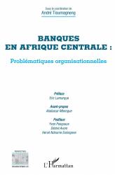 Banques en Afrique centrale : problématiques organisationnelles