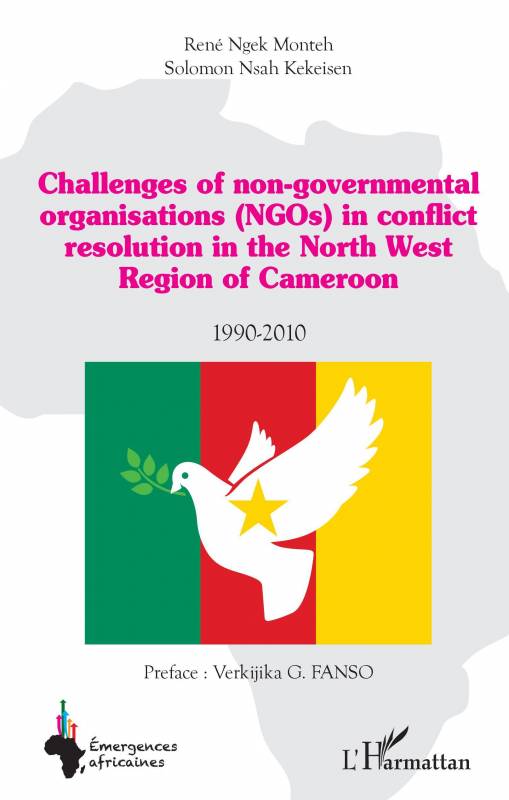 Challenges of non-governmental organisations (NGOs) in conflict resolution