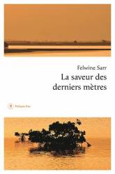 La saveur des derniers mètres Felwine Sarr