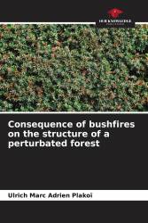 Consequence of bushfires on the structure of a реrturbated forest