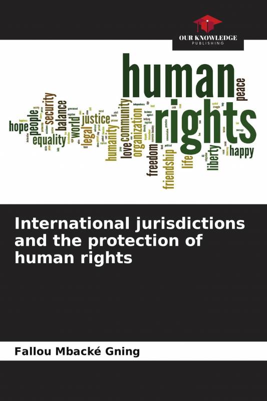 International jurisdictions and the protection of human rights