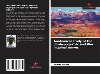 Anatomical study of the ilio-hypogastric and ilio-inguinal nerves