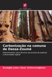 Carbonização na comuna de Dassa-Zoumé