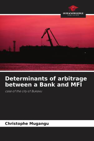 Determinants of arbitrage between a Bank and MFI