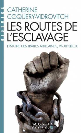 Les Routes de l'esclavage. Histoire des traites africaines, VIè-XXè siècle Catherine Coquery-Vidrovitch