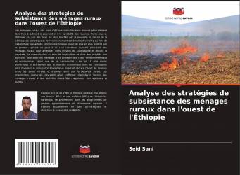 Analyse des stratégies de subsistance des ménages ruraux dans l'ouest de l'Éthiopie