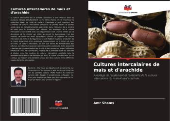 Cultures intercalaires de maïs et d'arachide