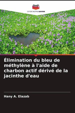 Élimination du bleu de méthylène à l'aide de charbon actif dérivé de la jacinthe d'eau