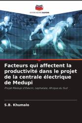 Facteurs qui affectent la productivité dans le projet de la centrale électrique de Medupi