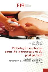 Pathologies anales au cours de la grossesse et du post partum