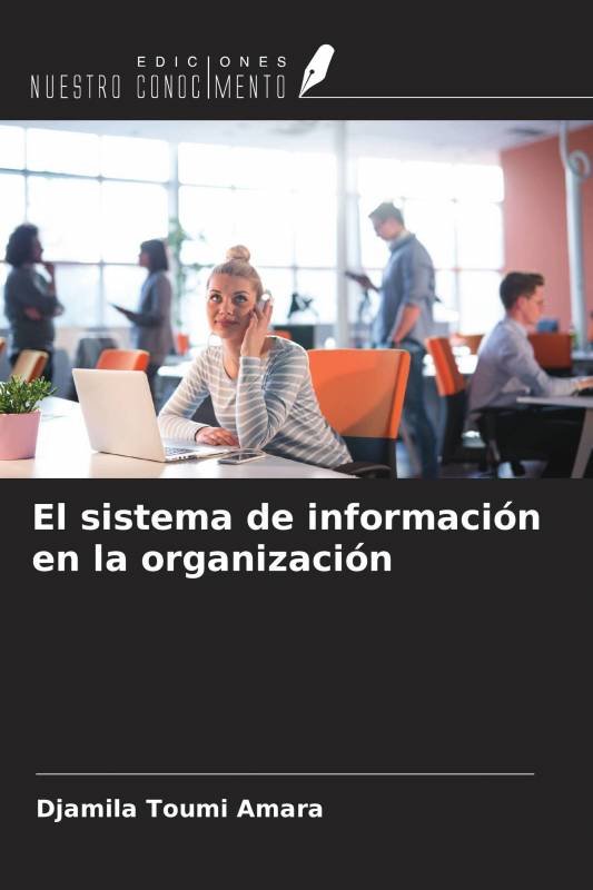 El sistema de información en la organización