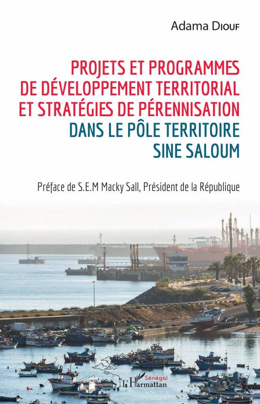 Projets et programmes de développement territorial et stratégies de pérennisation