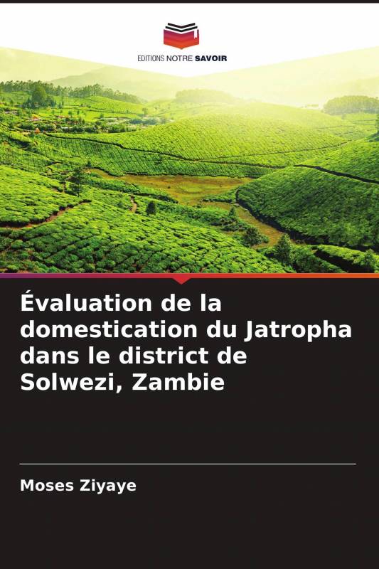Évaluation de la domestication du Jatropha dans le district de Solwezi, Zambie