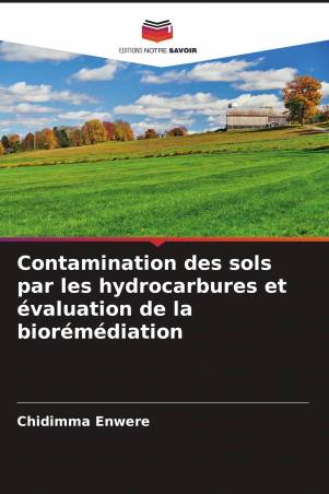 Contamination des sols par les hydrocarbures et évaluation de la biorémédiation