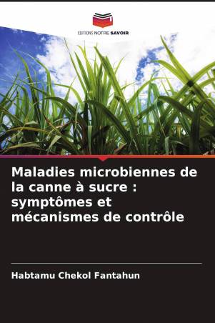Maladies microbiennes de la canne à sucre : symptômes et mécanismes de contrôle