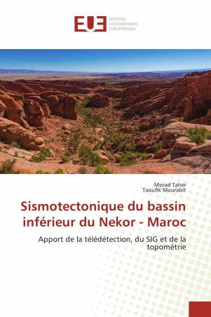 Sismotectonique du bassin inférieur du Nekor - Maroc