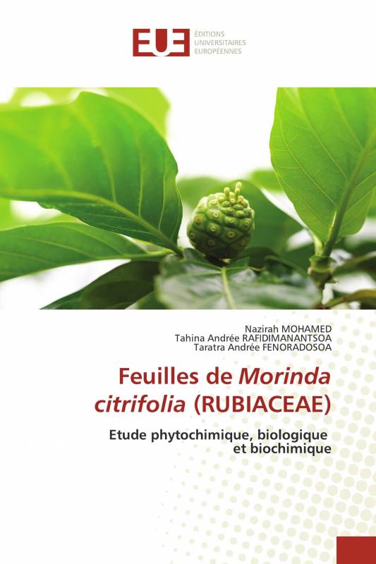 Feuilles de Morinda citrifolia (RUBIACEAE)