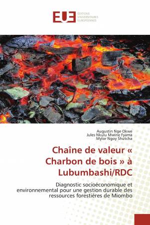 Chaîne de valeur « Charbon de bois » à Lubumbashi/RDC