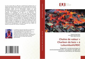 Chaîne de valeur « Charbon de bois » à Lubumbashi/RDC