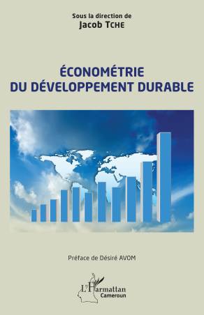 Économétrie du développement durable