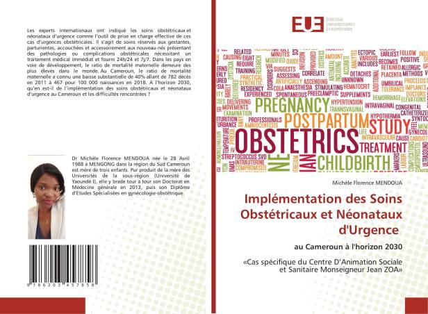 Implémentation des Soins Obstétricaux et Néonataux d'Urgence