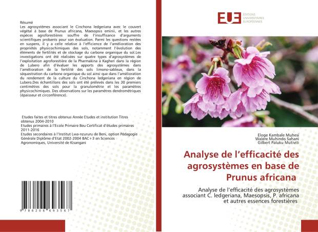 Analyse de l’efficacité des agrosystèmes en base de Prunus africana