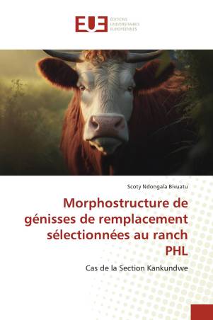 Morphostructure de génisses de remplacement sélectionnées au ranch PHL