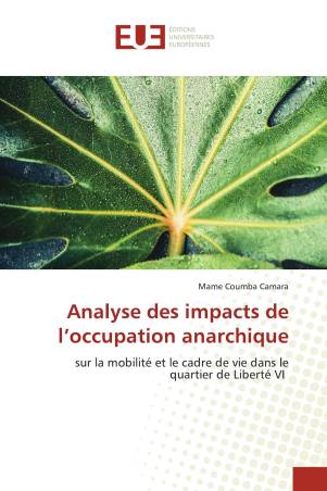Analyse des impacts de l’occupation anarchique