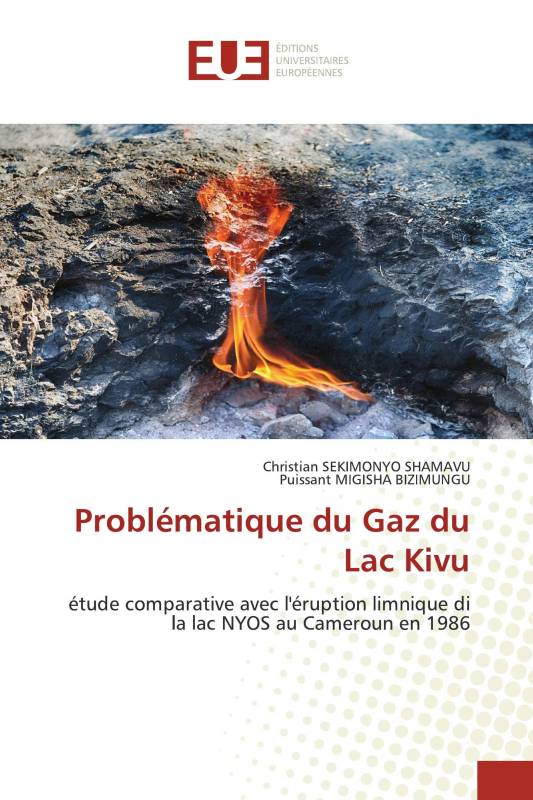 Problématique du Gaz du Lac Kivu