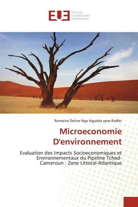 Microeconomie D'environnement