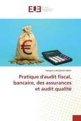 Pratique d'audit fiscal, bancaire, des assurances et audit qualité